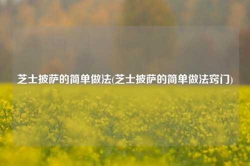 芝士披萨的简单做法(芝士披萨的简单做法窍门)