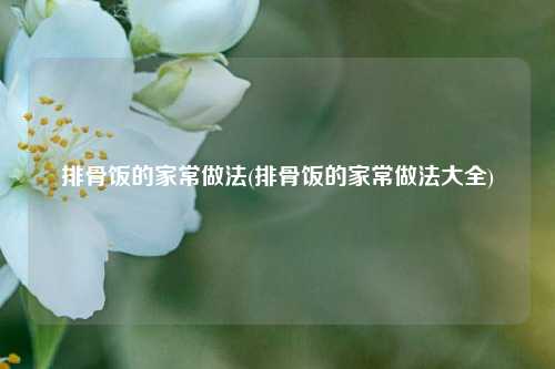 排骨饭的家常做法(排骨饭的家常做法大全)