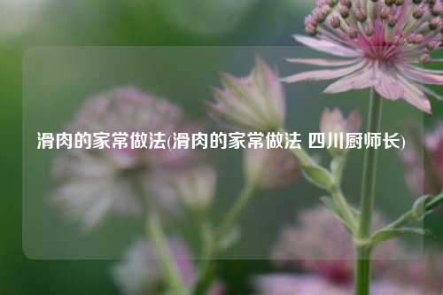 滑肉的家常做法(滑肉的家常做法 四川厨师长)