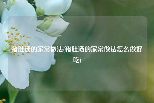 猪肚汤的家常做法(猪肚汤的家常做法怎么做好吃)