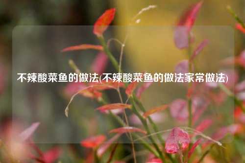 不辣酸菜鱼的做法(不辣酸菜鱼的做法家常做法)