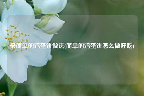 最简单的鸡蛋饼做法(简单的鸡蛋饼怎么做好吃)