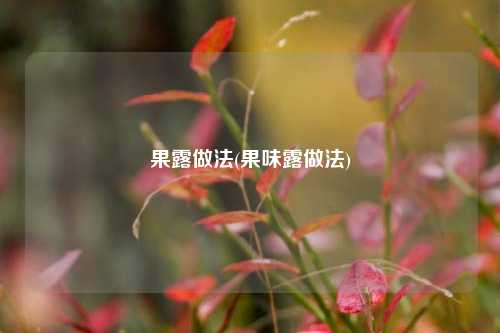 果露做法(果味露做法)