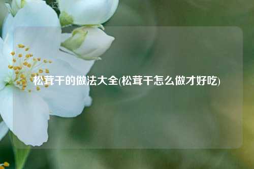 松茸干的做法大全(松茸干怎么做才好吃)