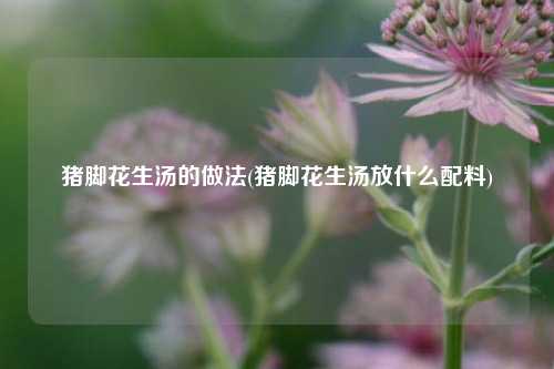 猪脚花生汤的做法(猪脚花生汤放什么配料)