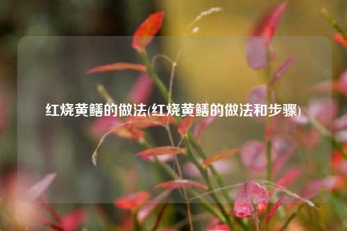 红烧黄鳝的做法(红烧黄鳝的做法和步骤)