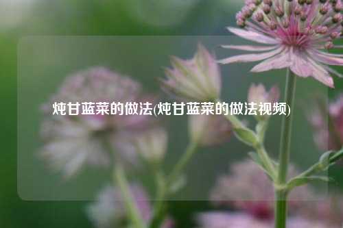 炖甘蓝菜的做法(炖甘蓝菜的做法视频)