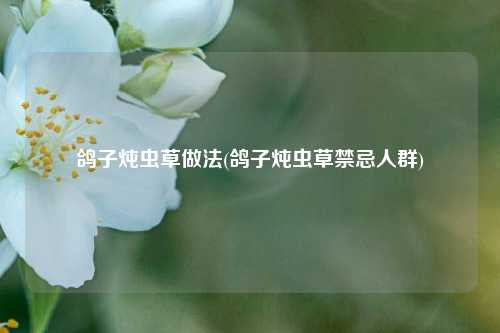 鸽子炖虫草做法(鸽子炖虫草禁忌人群)
